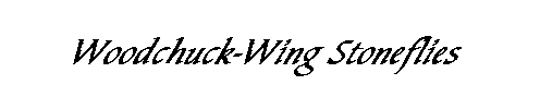 Woodchuck-Wing Stoneflies