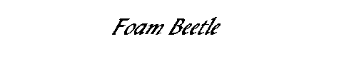           Foam Beetle